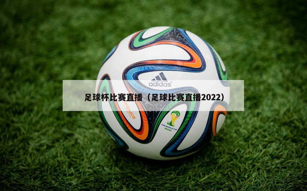 足球杯比赛直播（足球比赛直播2022）